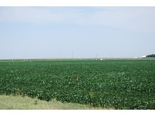Property photo 44 - Nebraska Land Auction - 1,855 Acres in 16 Tracts