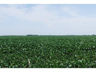 Property photo 33 - Nebraska Land Auction - 1,855 Acres in 16 Tracts