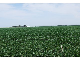 Property photo 36 - Nebraska Land Auction - 1,855 Acres in 16 Tracts