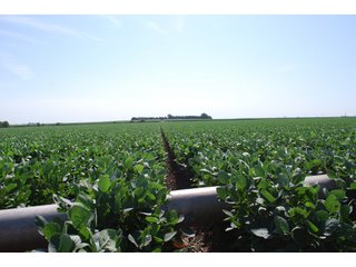 Property photo 34 - Nebraska Land Auction - 1,855 Acres in 16 Tracts