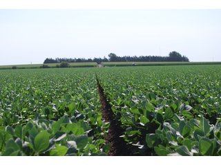 Property photo 38 - Nebraska Land Auction - 1,855 Acres in 16 Tracts
