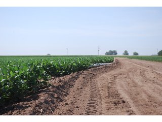 Property photo 31 - Nebraska Land Auction - 1,855 Acres in 16 Tracts