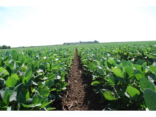 Property photo 35 - Nebraska Land Auction - 1,855 Acres in 16 Tracts