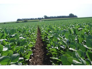 Property photo 40 - Nebraska Land Auction - 1,855 Acres in 16 Tracts