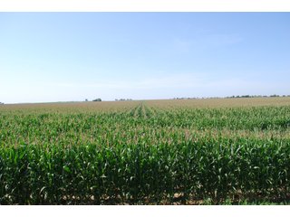 Property photo 42 - Nebraska Land Auction - 1,855 Acres in 16 Tracts