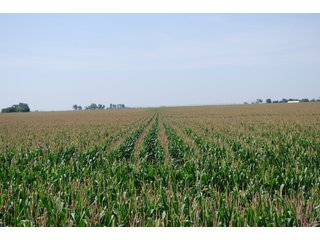 Property photo 39 - Nebraska Land Auction - 1,855 Acres in 16 Tracts