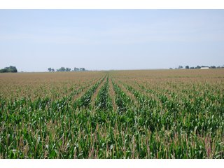 Property photo 30 - Nebraska Land Auction - 1,855 Acres in 16 Tracts