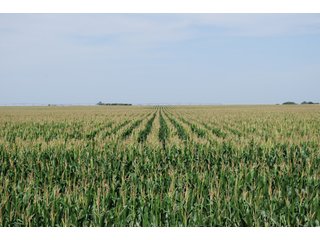 Property photo 43 - Nebraska Land Auction - 1,855 Acres in 16 Tracts