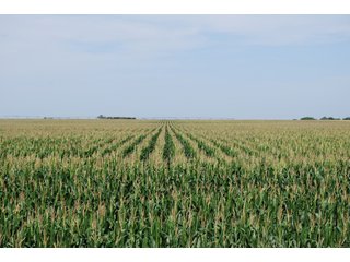 Property photo 23 - Nebraska Land Auction - 1,855 Acres in 16 Tracts
