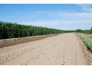 Property photo 32 - Nebraska Land Auction - 1,855 Acres in 16 Tracts
