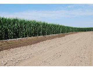 Property photo 20 - Nebraska Land Auction - 1,855 Acres in 16 Tracts