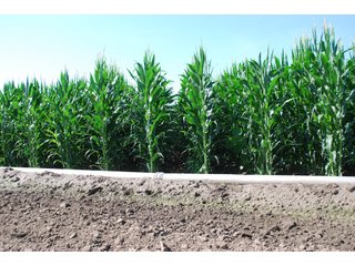 Property photo 27 - Nebraska Land Auction - 1,855 Acres in 16 Tracts