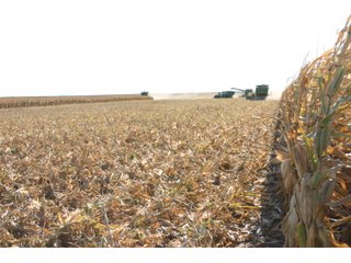 Tract 1 - Harvest - Nebraska Land Auction - 1,855 Acres in 16 Tracts