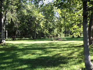Property photo 48 - 13.3 +/- Acres Offered in 3 Tracts - Real Estate Auction