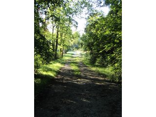 Property photo 4 - 13.3 +/- Acres Offered in 3 Tracts - Real Estate Auction