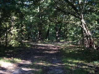 Property photo 34 - 13.3 +/- Acres Offered in 3 Tracts - Real Estate Auction