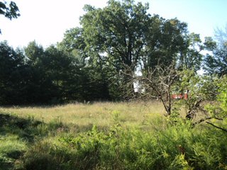 Property photo 10 - 13.3 +/- Acres Offered in 3 Tracts - Real Estate Auction