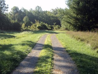 Property photo 5 - 13.3 +/- Acres Offered in 3 Tracts - Real Estate Auction