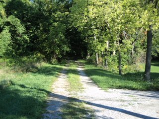 Property photo 7 - 13.3 +/- Acres Offered in 3 Tracts - Real Estate Auction