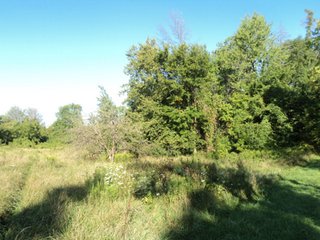 Property photo 36 - 13.3 +/- Acres Offered in 3 Tracts - Real Estate Auction