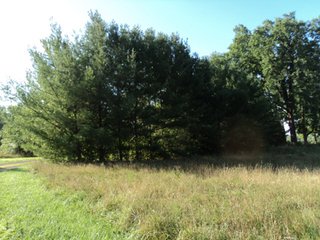 Property photo 42 - 13.3 +/- Acres Offered in 3 Tracts - Real Estate Auction