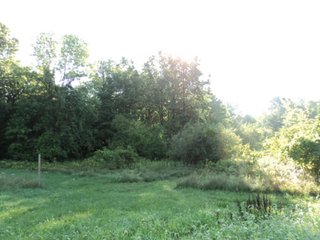 Property photo 18 - 13.3 +/- Acres Offered in 3 Tracts - Real Estate Auction