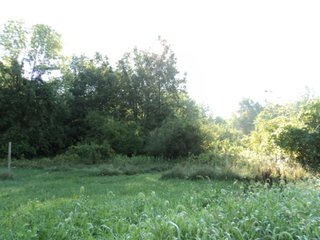 Property photo 13 - 13.3 +/- Acres Offered in 3 Tracts - Real Estate Auction