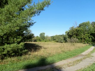 Property photo 12 - 13.3 +/- Acres Offered in 3 Tracts - Real Estate Auction