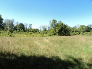 Property photo 25 - 13.3 +/- Acres Offered in 3 Tracts - Real Estate Auction
