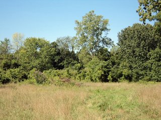 Property photo 47 - 13.3 +/- Acres Offered in 3 Tracts - Real Estate Auction