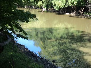 Property photo 26 - 13.3 +/- Acres Offered in 3 Tracts - Real Estate Auction