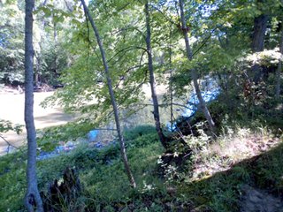 Property photo 52 - 13.3 +/- Acres Offered in 3 Tracts - Real Estate Auction
