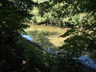 Property photo 11 - 13.3 +/- Acres Offered in 3 Tracts - Real Estate Auction