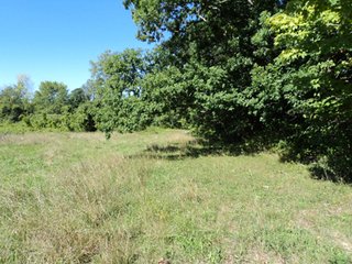 Property photo 32 - 13.3 +/- Acres Offered in 3 Tracts - Real Estate Auction