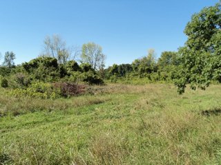 Property photo 1 - 13.3 +/- Acres Offered in 3 Tracts - Real Estate Auction