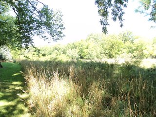 Property photo 41 - 13.3 +/- Acres Offered in 3 Tracts - Real Estate Auction