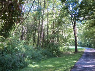 Property photo 19 - 13.3 +/- Acres Offered in 3 Tracts - Real Estate Auction