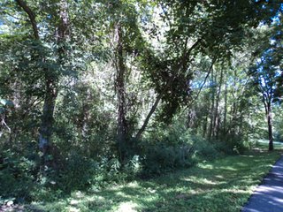 Property photo 15 - 13.3 +/- Acres Offered in 3 Tracts - Real Estate Auction