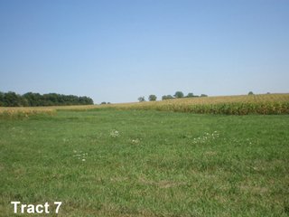 Property photo 4 - 2 Farms, 410 +/- Acres Offered in 11 Tracts