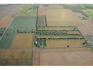Property photo 2 - 100 +/- Acres Offered in 5 Tracts - Real Estate Auction
