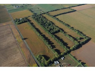 Property photo 3 - 100 +/- Acres Offered in 5 Tracts - Real Estate Auction
