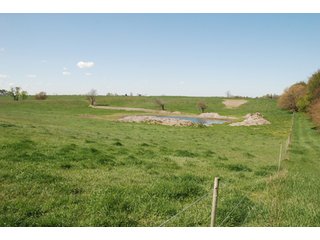 Property photo 9 - 100 +/- Acres Offered in 5 Tracts - Real Estate Auction