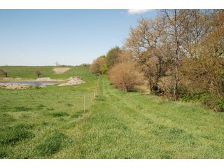 Property photo 14 - 100 +/- Acres Offered in 5 Tracts - Real Estate Auction