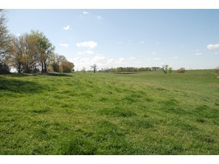 Property photo 12 - 100 +/- Acres Offered in 5 Tracts - Real Estate Auction