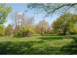 Property photo 7 - 100 +/- Acres Offered in 5 Tracts - Real Estate Auction