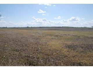 Property photo 16 - 100 +/- Acres Offered in 5 Tracts - Real Estate Auction