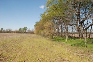 Fisel Estate, Noble County