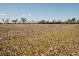 Property photo 15 - 100 +/- Acres Offered in 5 Tracts - Real Estate Auction