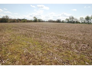 Property photo 8 - 100 +/- Acres Offered in 5 Tracts - Real Estate Auction