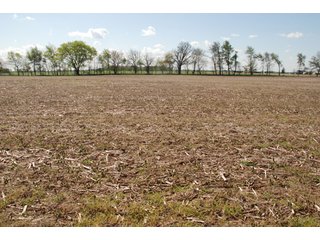 Property photo 6 - 100 +/- Acres Offered in 5 Tracts - Real Estate Auction